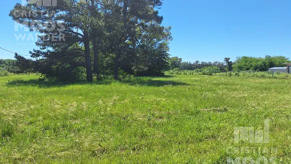 Terreno en Terreno en venta Arturo Boote S/N