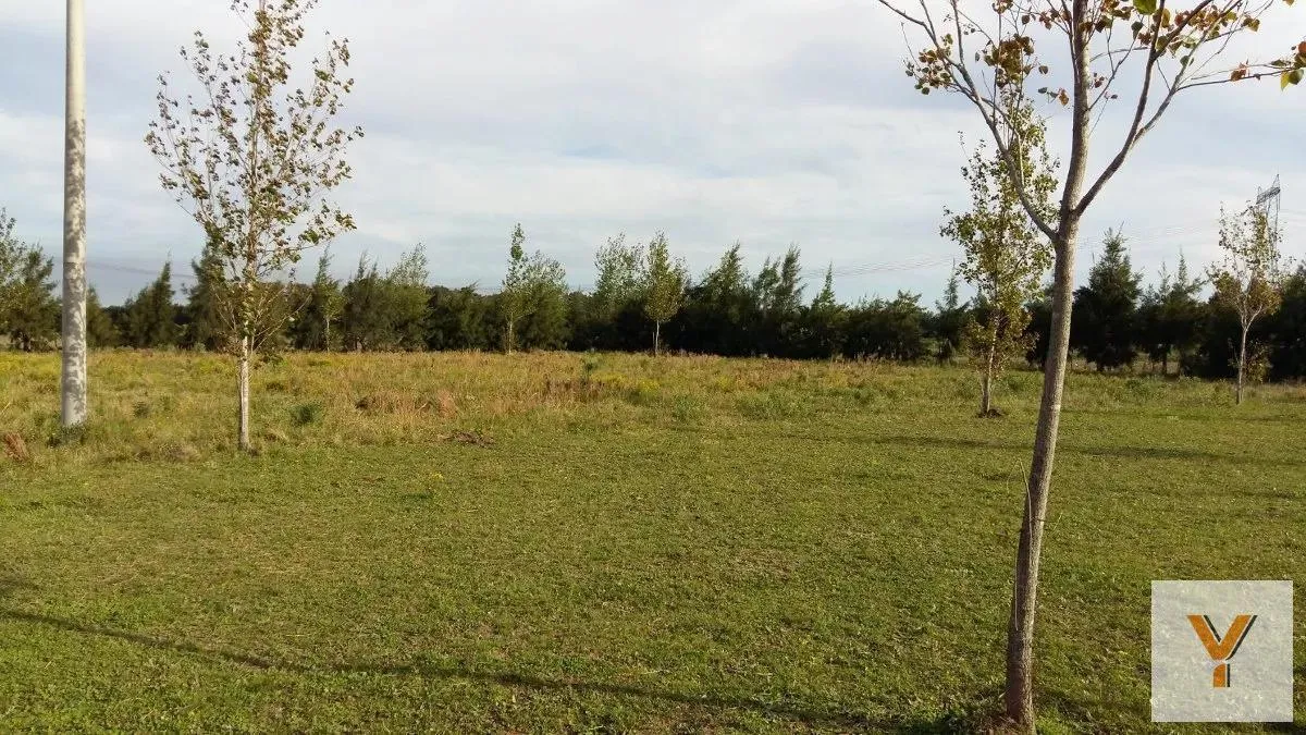 Terreno en Ruta 9 Km 139,3