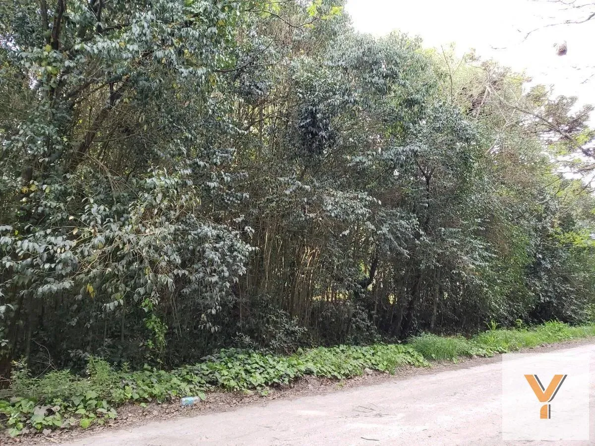 Terreno en Cortázar y Mariano Moreno
