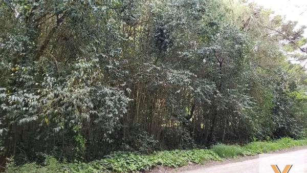 Terreno en Cortázar y Mariano Moreno