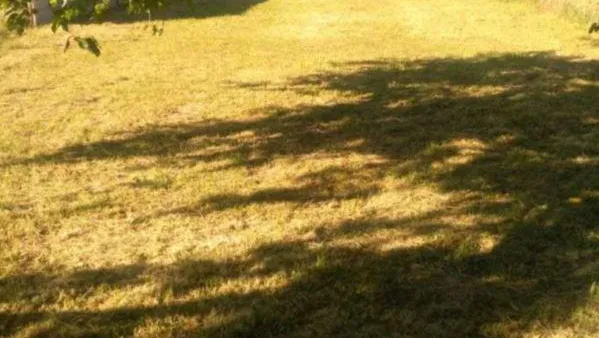 Terreno en Córdoba y Necochea
