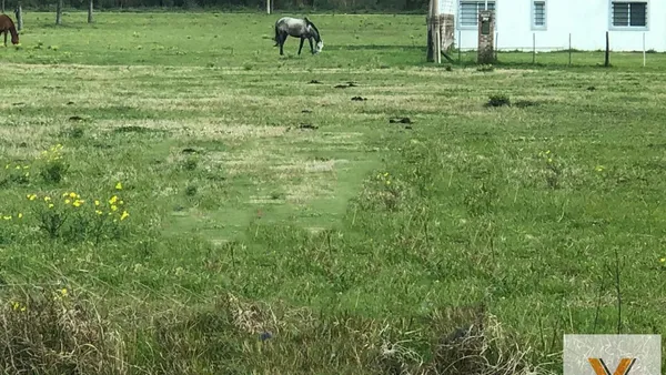Terreno en Santa Lucia e/ San Vicente y Federación