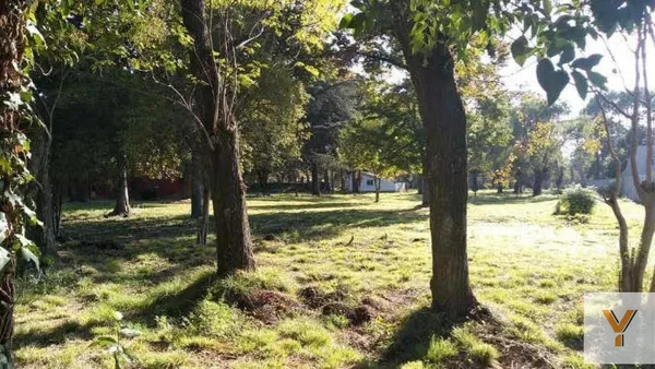 Terreno en Vicente López y Polero