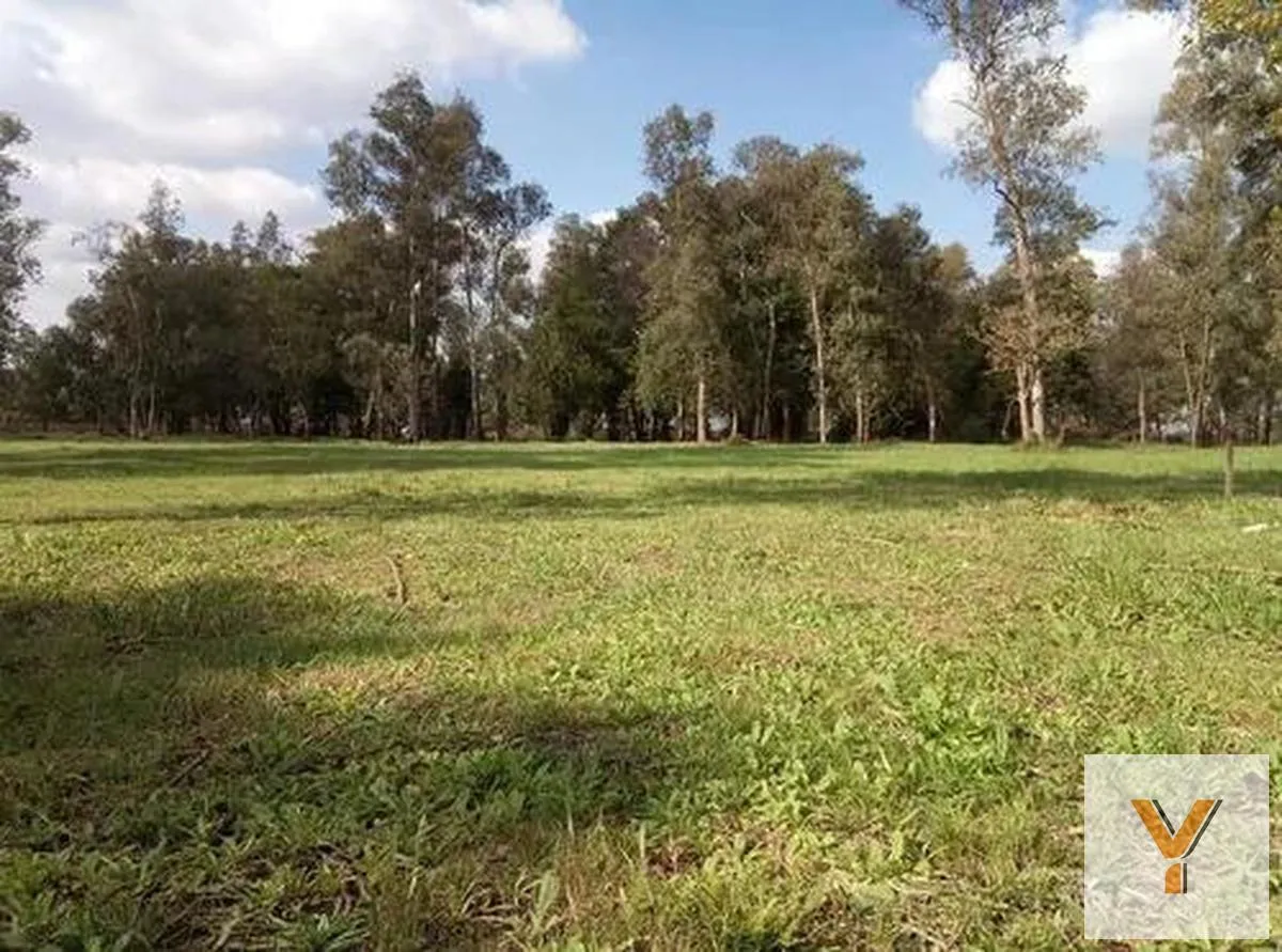 Terreno en Brisas del Sud