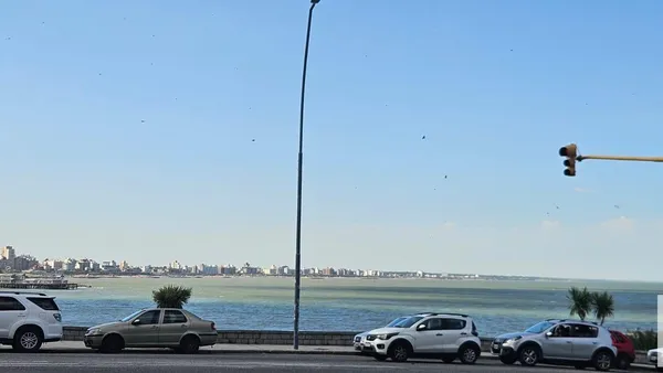 Departamento en Boulevard Marítimo Patricio Peralta Ramos y Carlos Alvear