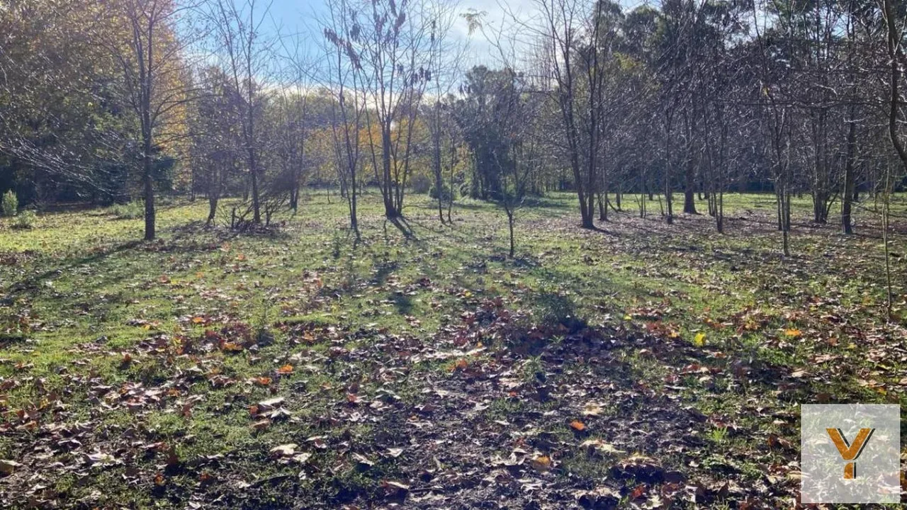 Terreno en Chacras De San Pablo