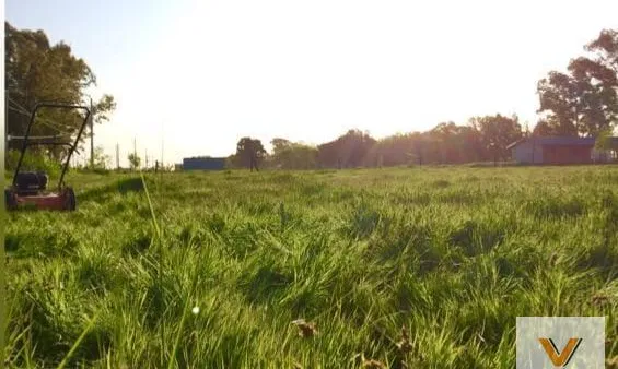 Terreno en Alaska y Brasilia