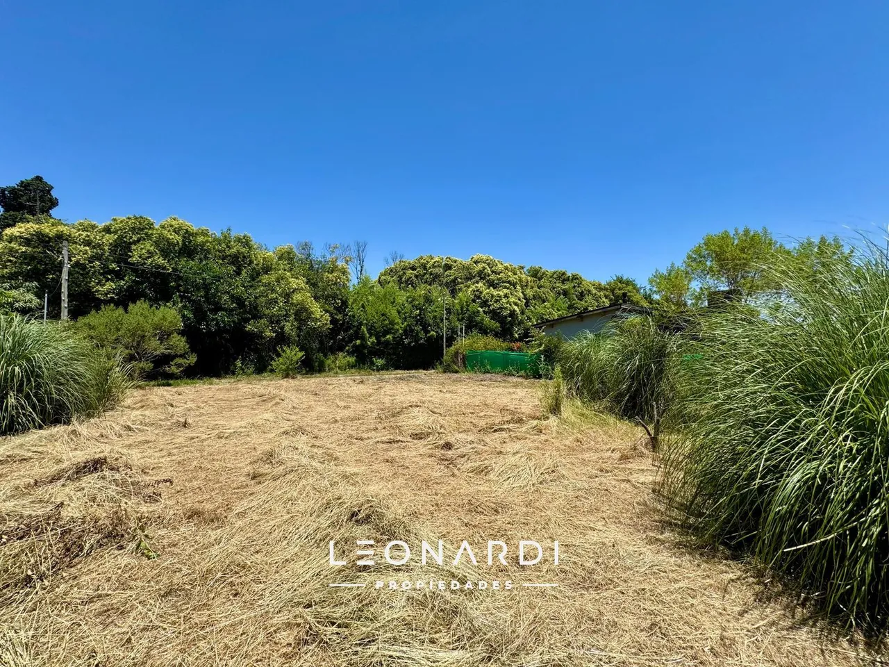 Terreno en Mercedes Sosa s/n - Bº Las Manzanillas