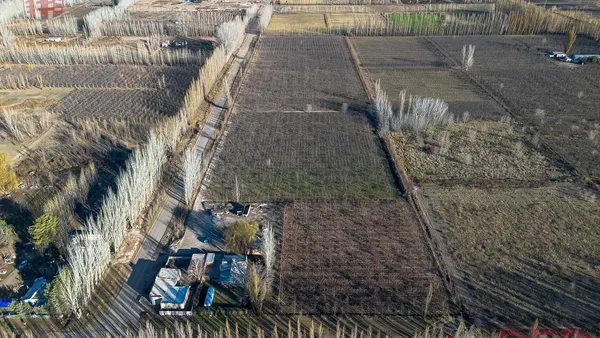 Terreno en Venta en chacra en producción General roca