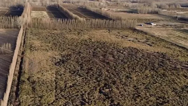 Terreno en VENTA 10 HECTAREAS - PLOTTIER - NEUQUEN