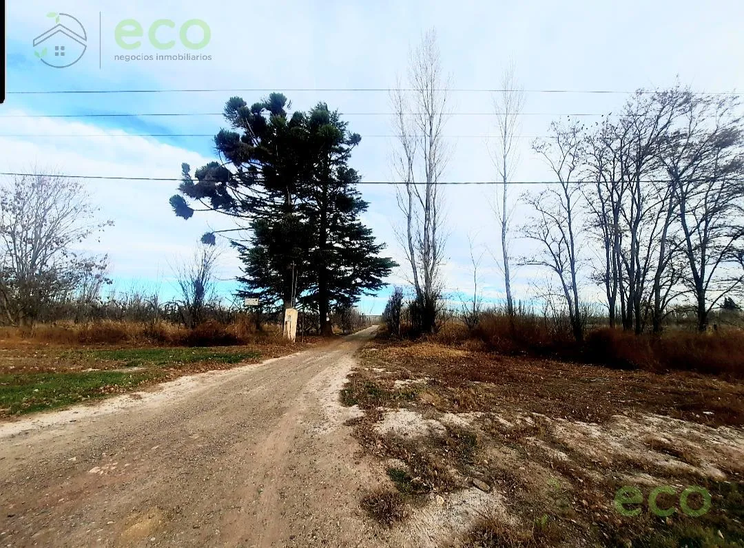 Terreno en VENTA Chacras a 150 mts Ruta 22 - Allen