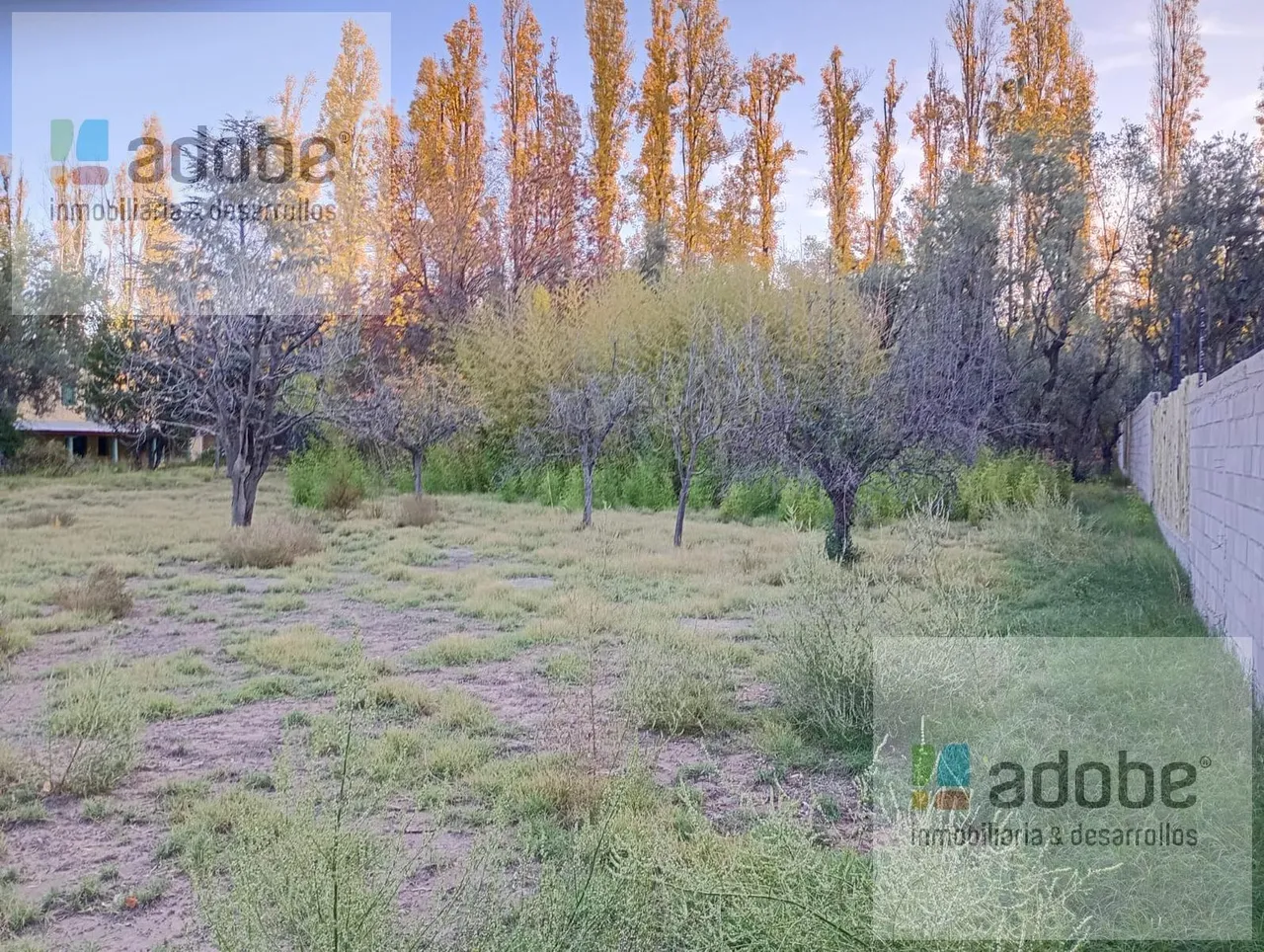 Terreno en Calle Los Aromos S/N, Chacras de Coria