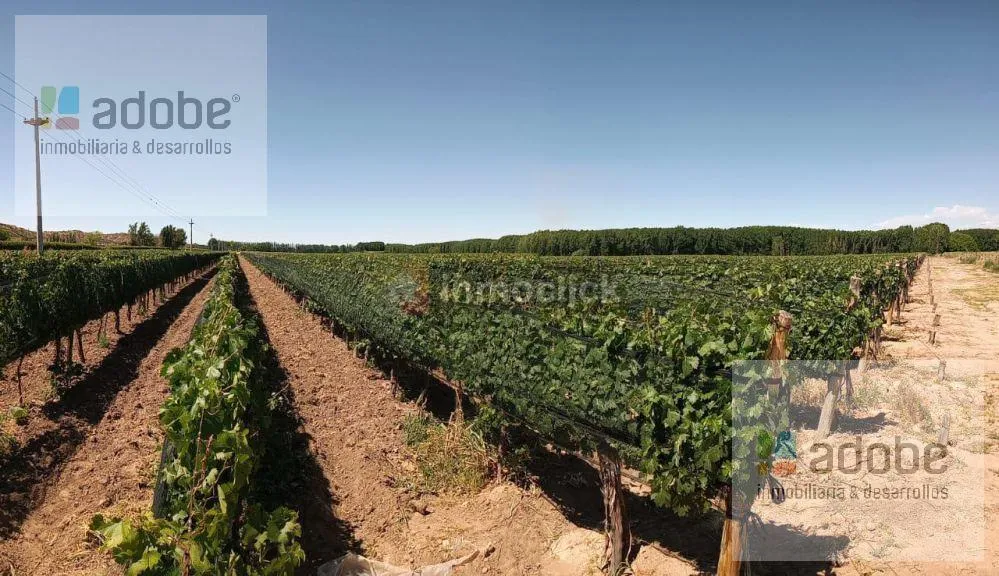 Campo en Ruta Provincial 16, Carrizal del medio