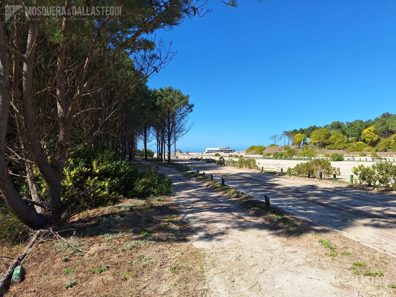 Terreno en Maritimo II 39