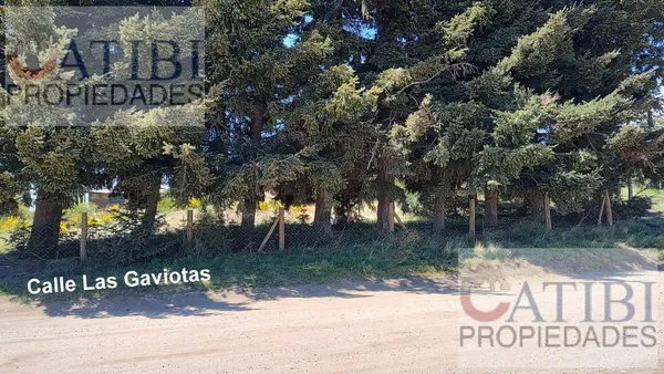 Terreno en Calle Las Gaviotas