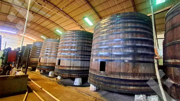 Galpon en En Venta, Predio de 3.31 Ha, Frente a Ruta 22, General Roca