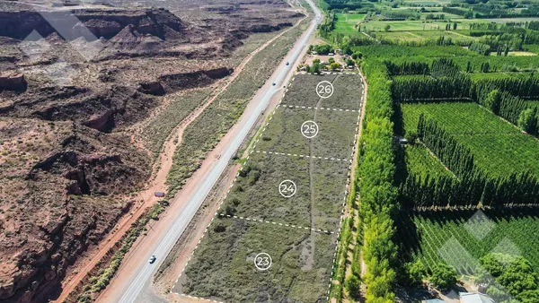 Terreno en Venta Lote 9.229 m2 - Loteo La Lonja - Añelo