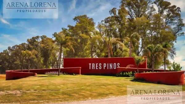 Terreno