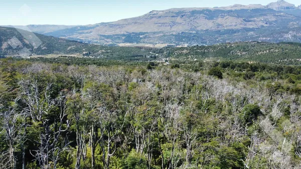 Terreno en VENTA TERRENO 600 M2 - Bº KALEUCHE ALTO - SAN MARTIN DE LOS ANDES