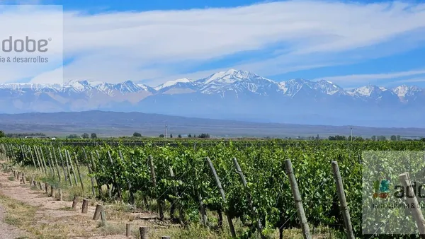 Campo en Ruta 40 Ugarteche, Lujan de Cuyo