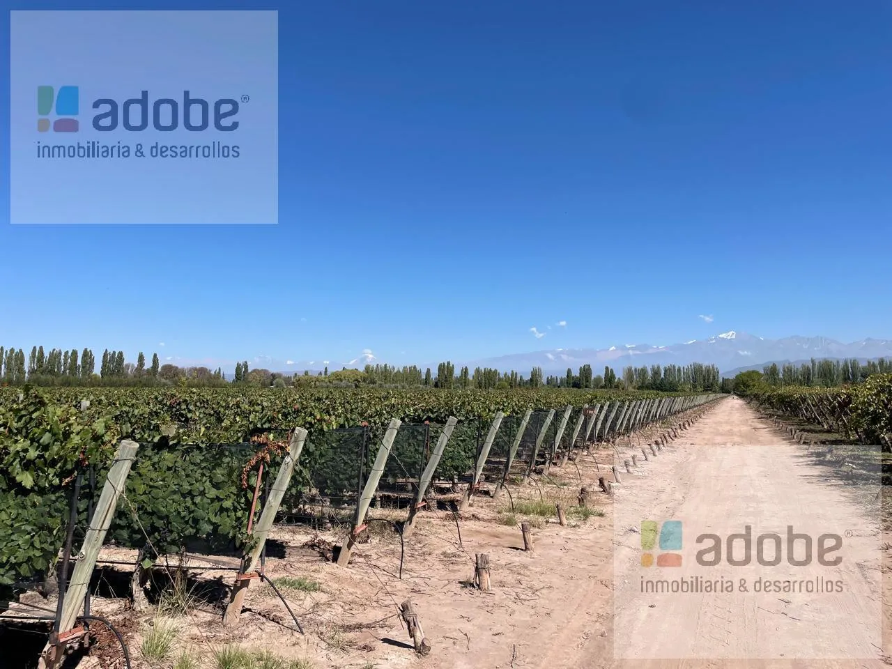 Campo en Calle Cochabamba, Agrelo