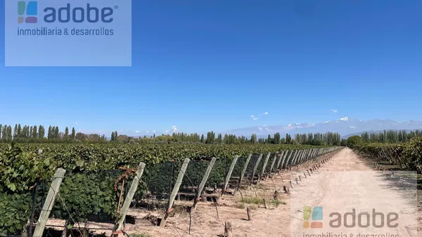 Campo en Calle Cochabamba, Agrelo
