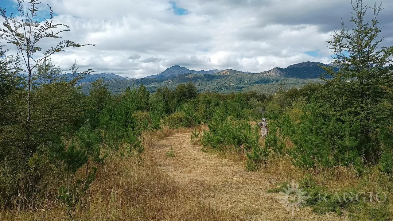 Casa en Chacra de 13has en Mallín Ahogado con acceso a costa de Arroyo del Medio (FC-182)