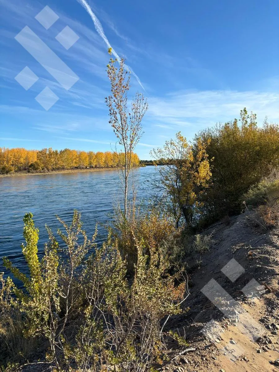 Terreno en VENTA LOTE 300m2 - ARROYITO, CHINA MUERTA