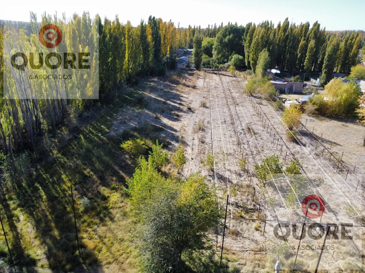 Terreno en Hectárea en venta, a 200 mtrs de ruta 22, Plottier