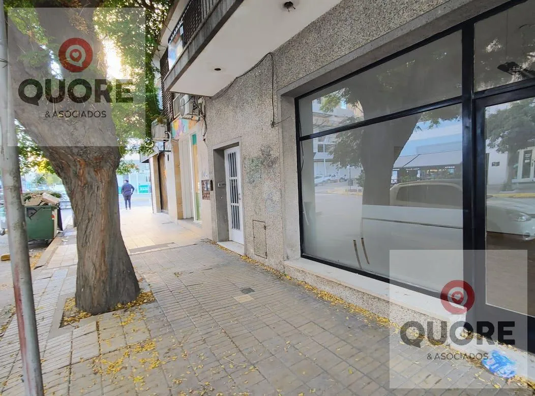Local Comercial en Roca 216