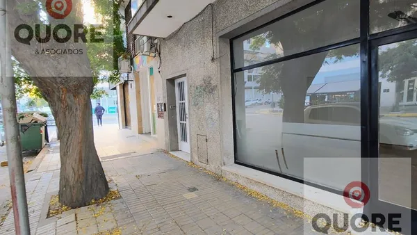 Local Comercial en Roca 216
