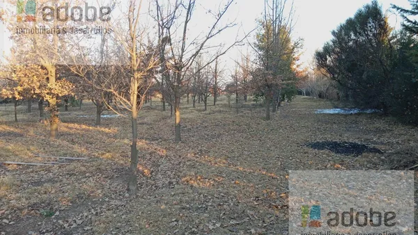 Terreno en Las Palmas 7550, Vistalba