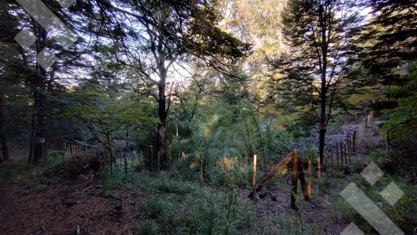 Terreno en VENTA TERRENO 600 M2 - KALEUCHE - SAN MARTIN DE LOS ANDES - NEUQUEN