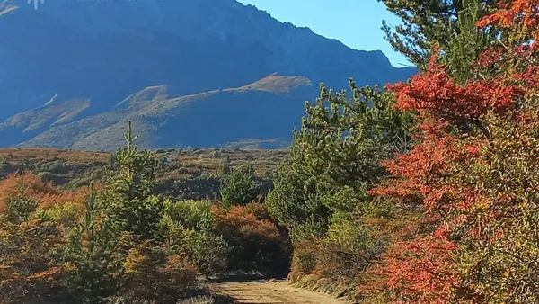 Terreno en Campo de 29 Ha en El Bolsón Mallin Ahogado (SO-40)