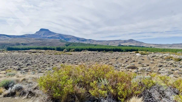Terreno en Venta lote 1194 m2 - Lago Huechulafquen - Junin de los Andes