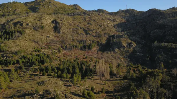 Terreno en Cerro Radal