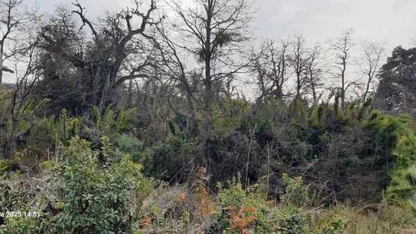 Terreno en Venta Terreno 600 m2 - Bº Kaleuche Alto - San Martin de los Andes