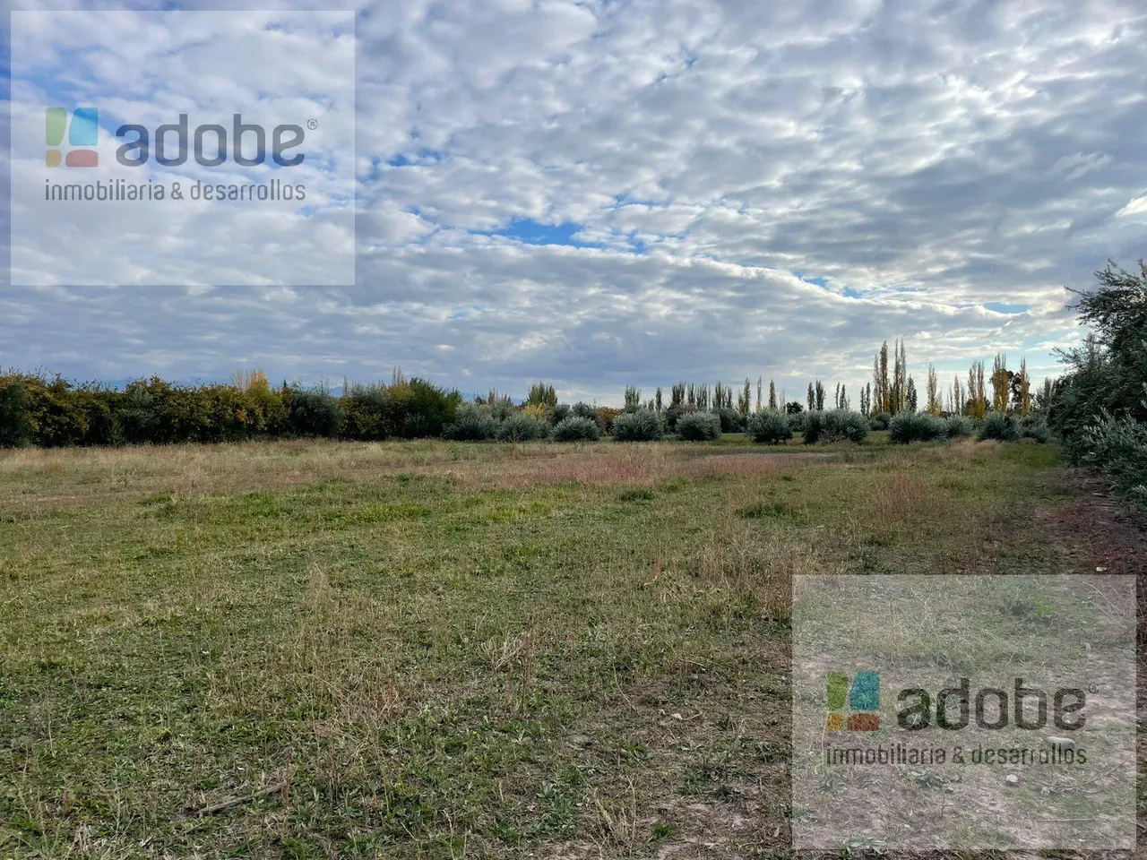 Campo en Calle Olavarría, a mts de Terrada, Perdriel