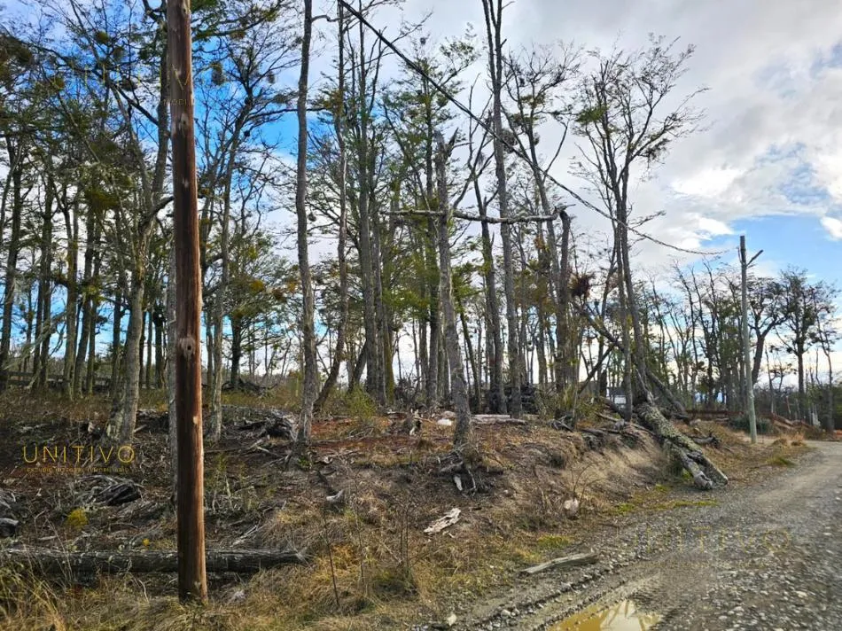 Terreno en TERRENO EN VENTA - ECOPUEBLO, TOLHUIN.