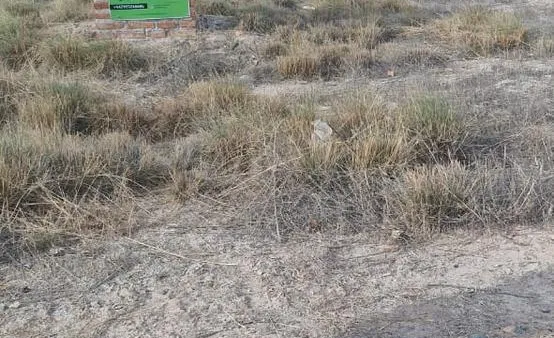 Terreno en Calle LAMFRE