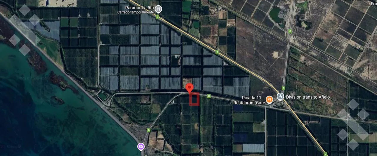 Terreno en Alquiler de 1 Hectárea con frente de ruta, Añelo