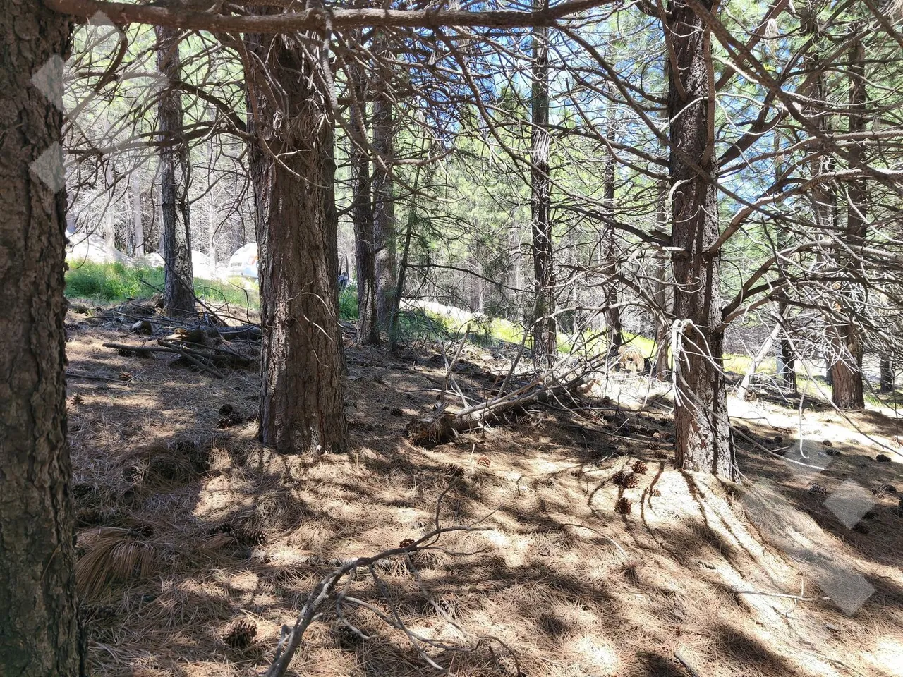 Terreno en VENTA TERRENO 790MTS - EL REMANSO - SAN MARTIN DE LOS ANDES