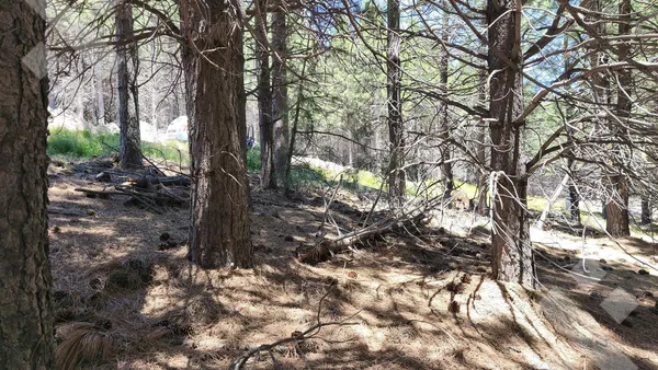 Terreno en VENTA TERRENO 790MTS - EL REMANSO - SAN MARTIN DE LOS ANDES