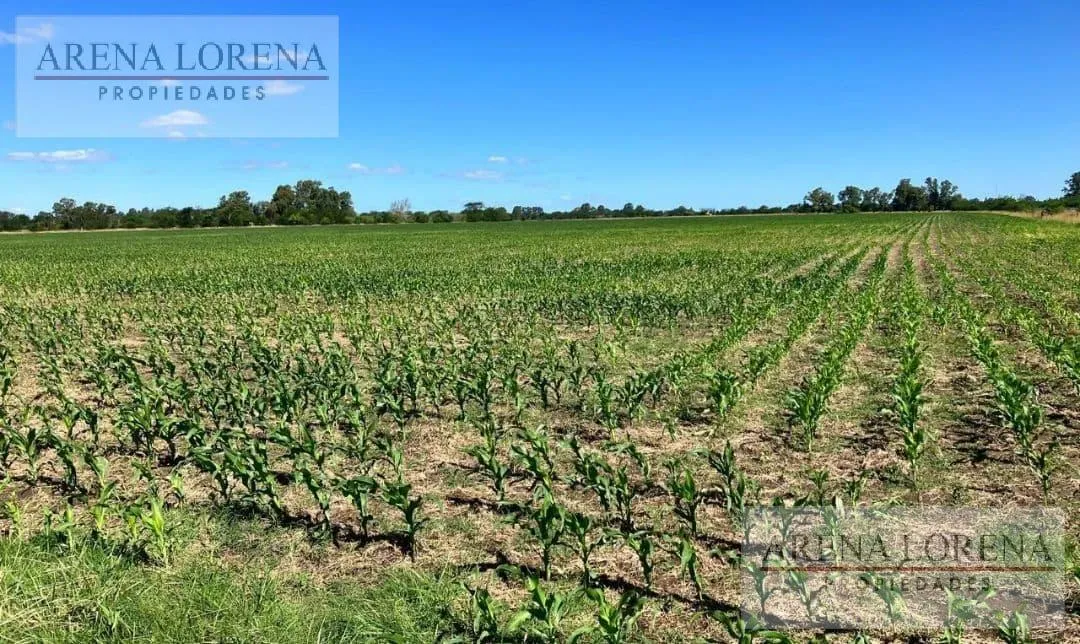 Campo en Calle 107