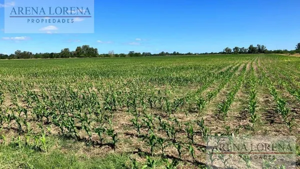 Campo en Calle 107