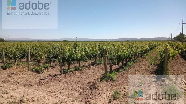 Campo en Tupungato, Mendoza