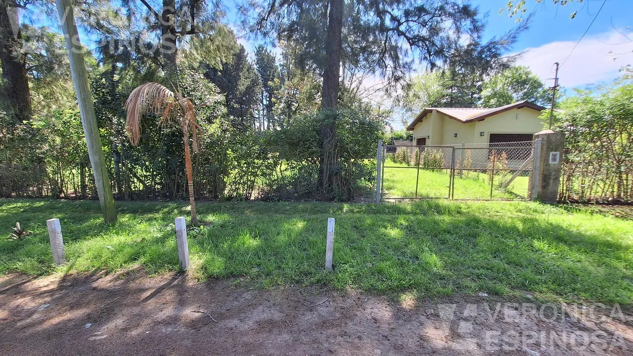 Terreno en Del Ombu al 1900