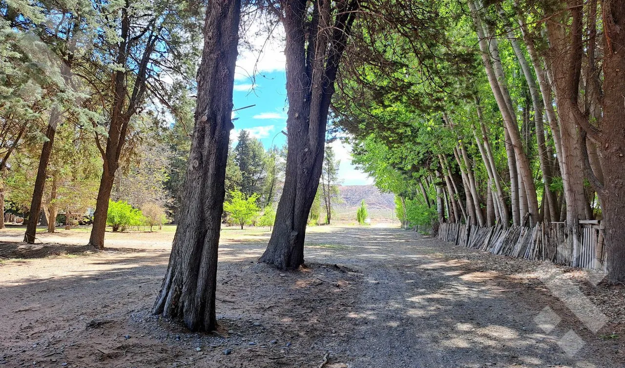 Terreno en VENTA DE TERRENO EN PLOTTIER \PRADERA ESMERALDA\ MZA7 LOTE P