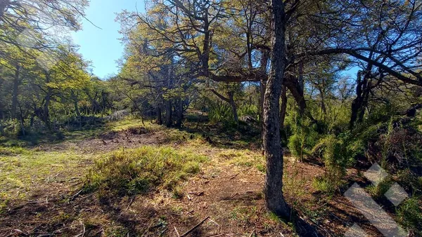 Terreno en Venta lote 600 m2 - Altos de Kaleuche - San Martin de los Andes