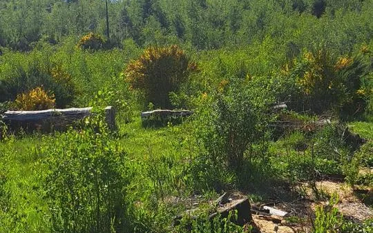Terreno en Terreno Loteo Raiquen Chubut (SU_24) 0